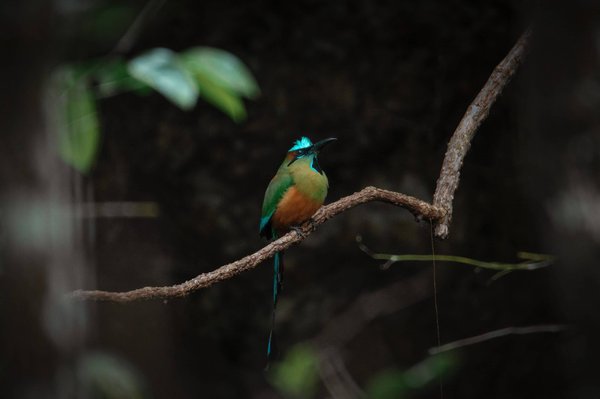Créer un chef-d'œuvre architectural : Les secrets d'un maître d'œuvre pour créer des espaces fonctionnels et esthétiques